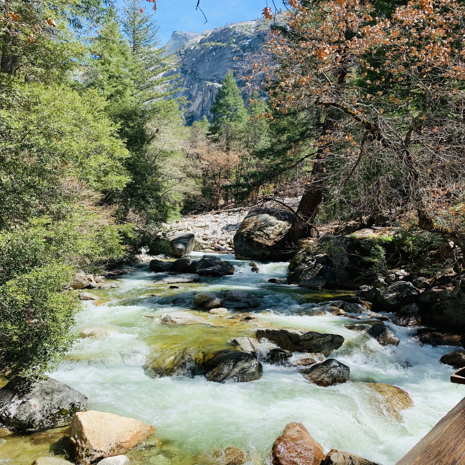 A Mountain River in Yosemite