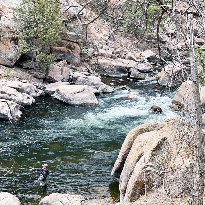 A photo of a man fly fishing the South Platte River in Cheeseman Canyon