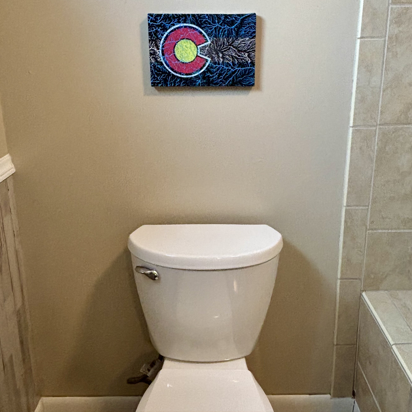 The Colorado Watersheds Canvas Wall Art by Headwater Canyon.  Colorado rivers.  8 X 12" canvas in bathroom.