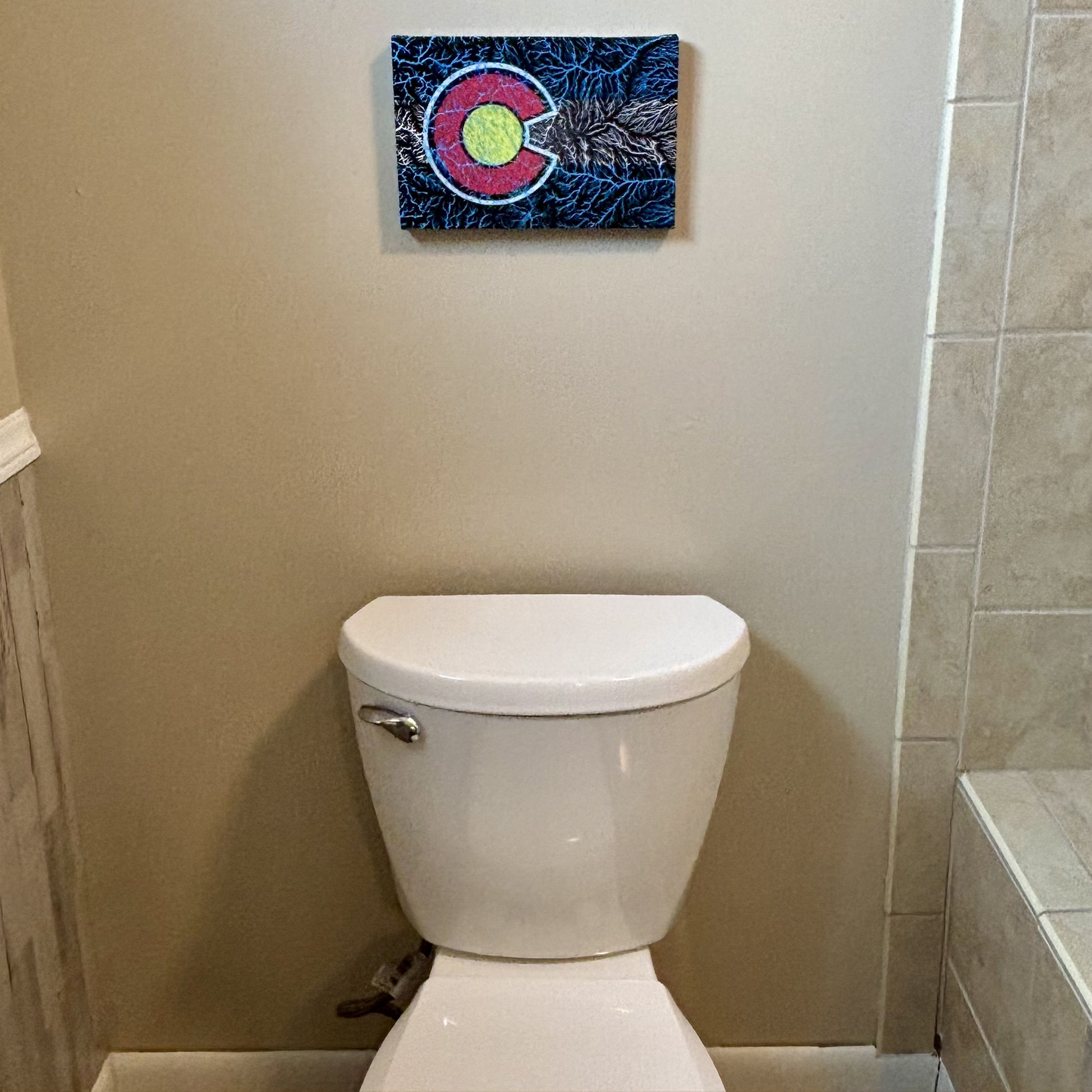 The Colorado Watersheds Canvas Wall Art by Headwater Canyon.  Colorado rivers.  8 X 12" canvas in bathroom.