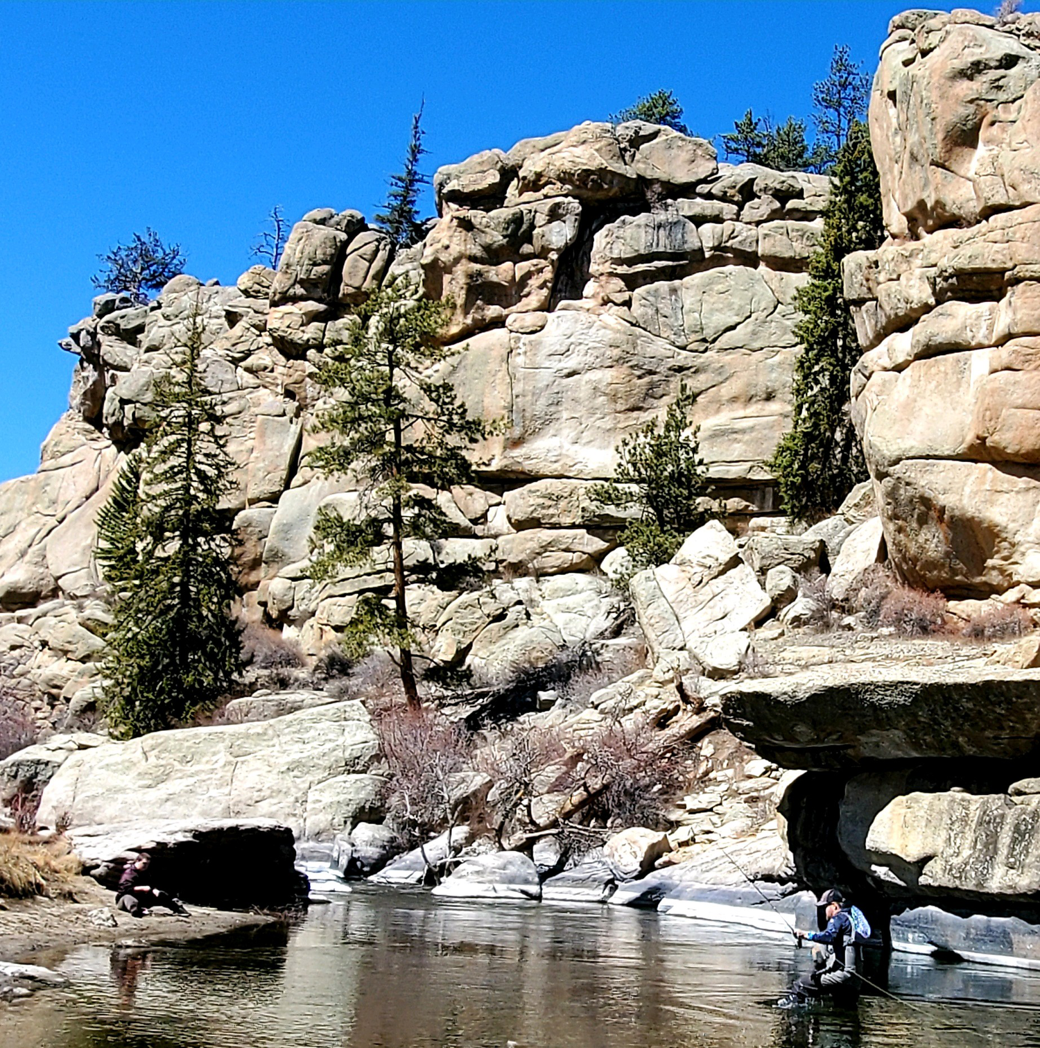 A man fly fishing in eleven mile canyon with a headwater canyon sun hoodie.