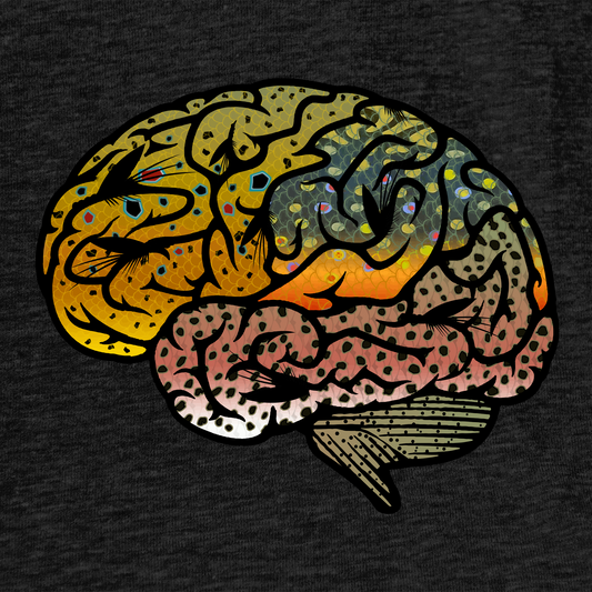 Black fly fishing t shirt. Photo of Headwater Canyon Fish Brain tee featuring a human brain with trout patterns.  Close up grapphic