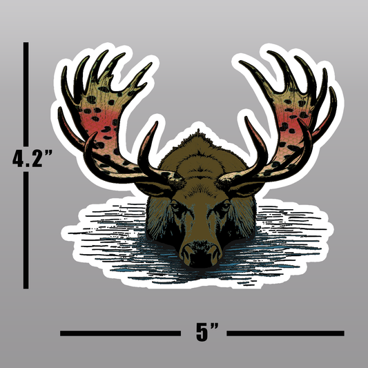 Fly fishing vinyl decal of  a moose with rainbow trout pattern.  4.2"X5"